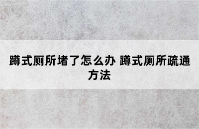 蹲式厕所堵了怎么办 蹲式厕所疏通方法